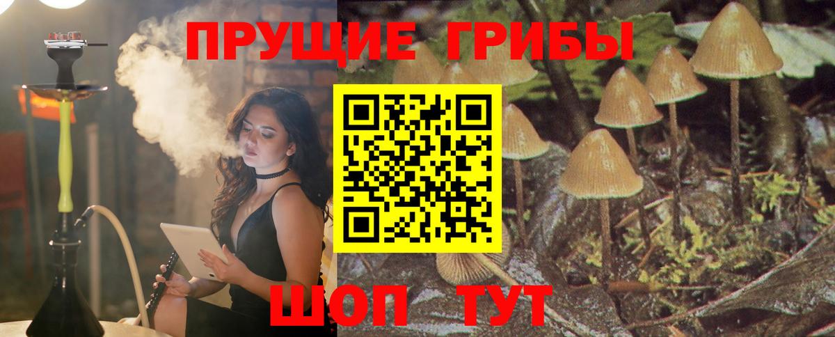Галлюциногенные грибы Psilocybine cubensis Воскресенск